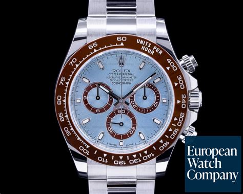 rolex daytona brown blue